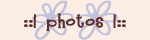 ::|photos|::